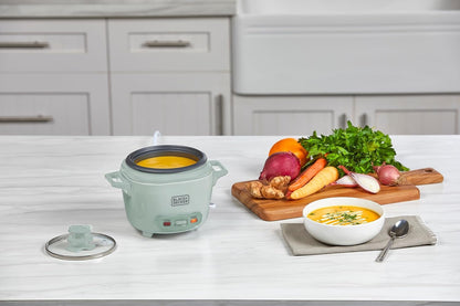Small rice cooker with a bowl of soup on a kitchen counter, surrounded by vegetables.