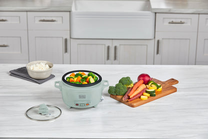 Small rice cooker with vegetables on a kitchen counter